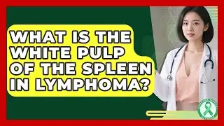 What Is The White Pulp Of The Spleen In Lymphoma? - Lymphoma Support Network