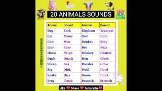 20 animals sounds name/animals and birds sound name in english/sound of animals and birds in english