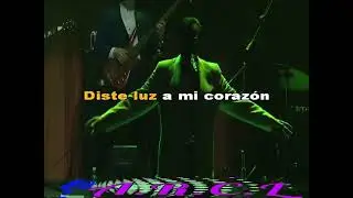 The Ramblers -  Primer Amor  (karaoke)