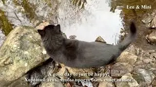 Just a good day! Walk with Leo! Norway nature / Хороший день! Прогулка, Лео и я! Норвегия природа