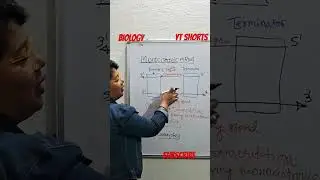 Monocistronic mRNA # YT SHORTS (Description and Concept.