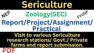 Sericulture Report/Project/Assignment/Practical | Zoology SEC 2nd Semester/Visit to Sericulture Farm