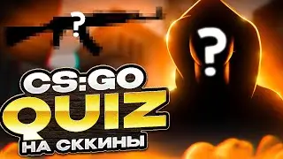 CS:GO QUIZ С ТАИНСТВЕННЫМ ГОСТЕМ | КАЖДЫЙ ВЕРНЫЙ ОТВЕТ ПРИНОСИТ СКИНЫ