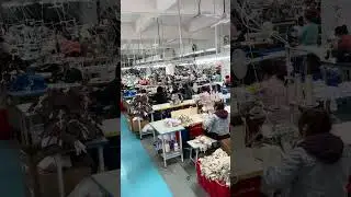 short d'entra&icirc;nement court pour femme ODM RUXI frd2731