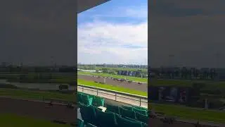 The thrill of race, beauty of 🐎 horses#travel #canada#toronto#horseracing#fypシ゚viral