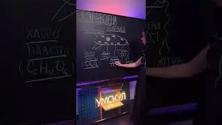 Эвглена зеленая #умскул_биология #жаннаказанская #умскул #биология