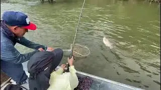 espectacular y atractivo r&iacute;o en el vichada