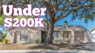 Living in Tampa Florida // Homes under 200K