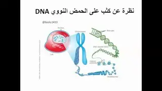 كفايات معلمي الأحياء - الوراثة الجزيئية وتركيب DNA - الحلقة 1