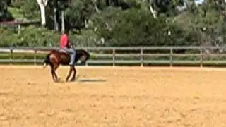 Spin Whiz
