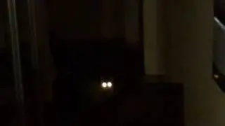 Orbs distort the image (HD), make clicks. My cat turns into an Orb.