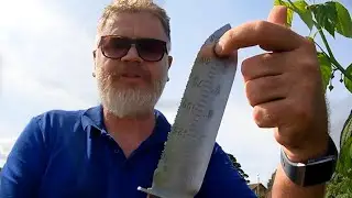 Is This The Best Garden Tool You Will Ever Need