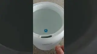 Levoit Humidifier Issues Part 1   Carol H