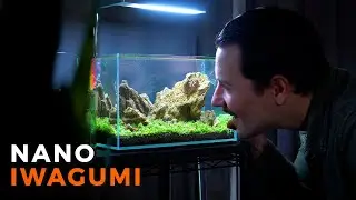 NANO AQUASCAPE SETUP | UNS 3N
