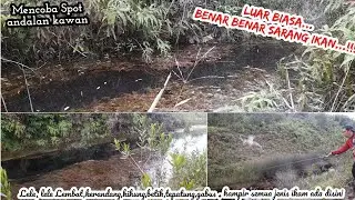 Diajak kespot andalan kawan kita, ternyata memang benar, menawan dan gacor...