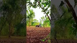 4 || This is Beauty of Punjab Village Life #shorts