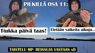 PILKILLÄ OSA 11: 🐟 TIUKKA PÄIVÄ, eletään vaikeita aikoja... | Tasurilla kuitenkin pannulle jotakin!!