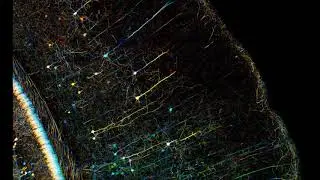 Alien Chaos - Neural Symphony ( 200 BPM )
