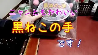 噛みつき！ひっかき防止！に黒ねこ手袋買いました。 #24 #七七七 #進めーねこにゃん