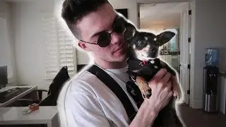 NEW FAZE HOUSE DOG REVEAL!! (Cutest Puppy Ever)