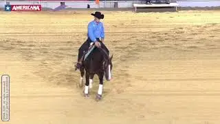 Nico Sicuro & Colonels Dancing Gun AMERICANA 2021