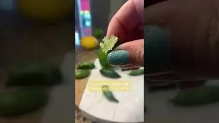 finger limes citrus fruit