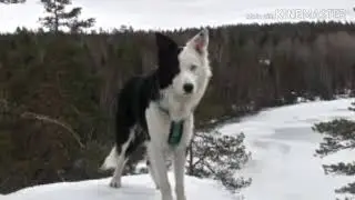 Jock 2 years