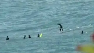 patieiro ubatuba sp
