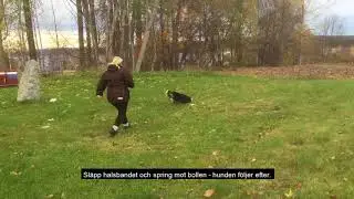 Klara f&auml;rdiga g&aring;
