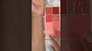 Makeup Revolution Roxi blush swatches