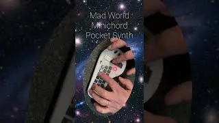 Minichord Pocket Synth #minichord #lofi #madworld