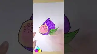 How to Draw a Fig Fruit with Markers | Comment dessiner une Figue aux Feutres