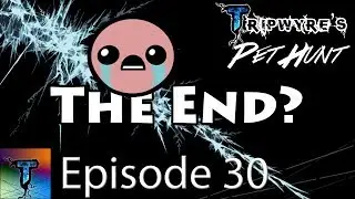 The End? | Post-Max Pet Hunt Episode 30 | Main Progress Series