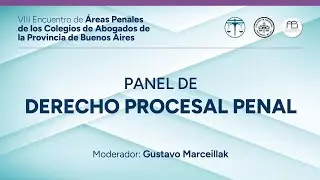 VIII Encuentro Áreas Penales - Panel: Derecho Procesal Penal.