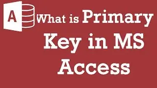 What is primary key in MS Access