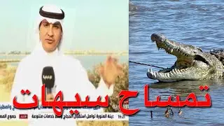 تمساح في #القطيف
