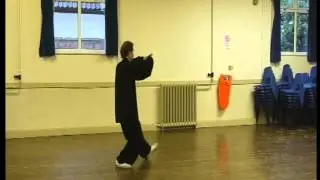 Yang Style 24 Forms Tai Chi