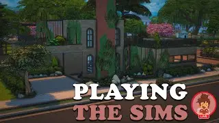 Sims Shell Build Challenge Furnish 🫶 | Livestream