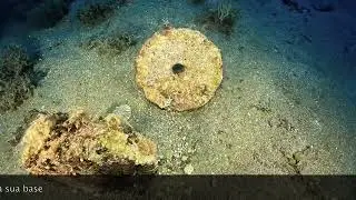 Il Relitto Fantasma di Capo Rasocolmo
