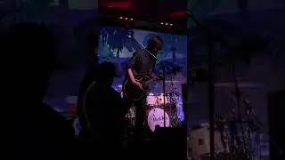 Don't back down - Lush Puppyz