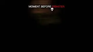 #dognightmares