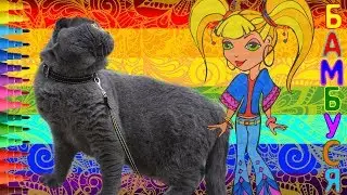 Раскраска. Модница - 4 Videos for Children. Coloring with markers by BAMBUSYA. Fashion Girl - 3