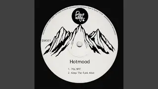 Keep The Funk Alive (Original Mix)