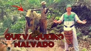LINDO PONTO DE BOIADEIRO - QUE VAQUEIRO MALVADO (PUREZATABAQUE)