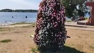 Променад вдоль реки Даугавы, в Кенгарагском районе города Риги. Небольшая прогулка.