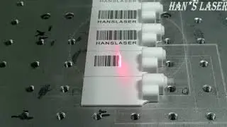 EGYPT  Han's Fiber Laser marking Plastic فايبر ليزر كتابة علي البلاستيك
