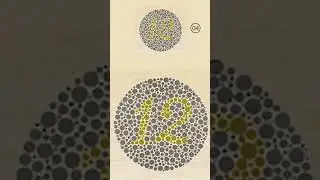 Beyond the Dots: Alternative Tests for Colorblindness