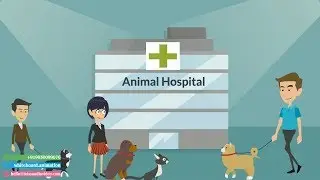 ✅ Animal Hospital Advertising Video, Pet Hospital Video Marketing Ads