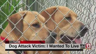 Dog attack victim glad to be alive
