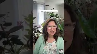Genesis Bible Study Chapter 8 full video with music